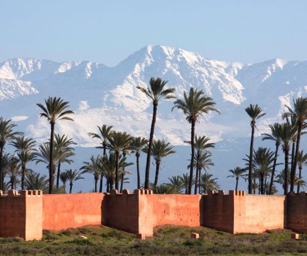 Votre texte de paragraphe (4)-compressed